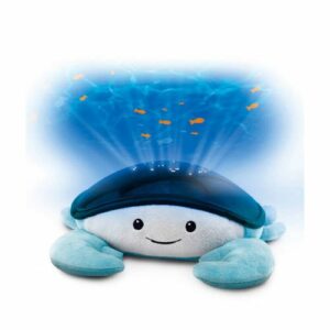 Zazu Cody Ocean Projector