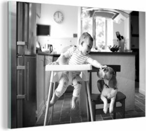 Glasschilderij - Baby in kinderstoel aait een hond - zwart wit - 180x120 cm - Acrylglas Schilderijen - Foto op Glas