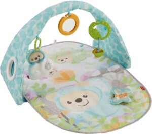 Fisher-Price Vlinderdromen Gym