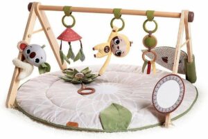 Tiny Love Luxe Gymini Babygym - Boho Chic