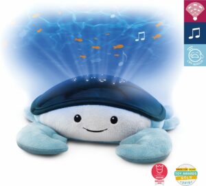 Cody Ocean Projector