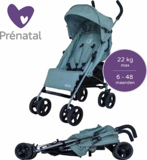 Prénatal Buggy Nijntje - Buggy met Boodschappenmand - Inklapbare Plooibuggy - Makkelijk Verstelbare Wandelwagen - Groen