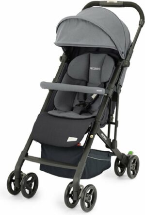 Recaro Easylife Elite 2 buggy Prime Silent Grey