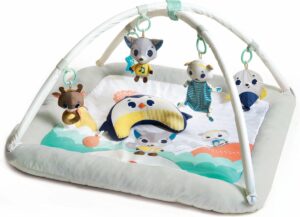 Tiny Love Plush Babygym - Polar Wonders - Noordpool