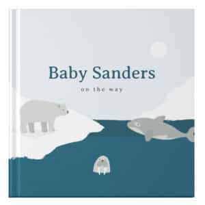 Ontwerp je eigen: Zwangerschapsdagboek - Winter Wonderland